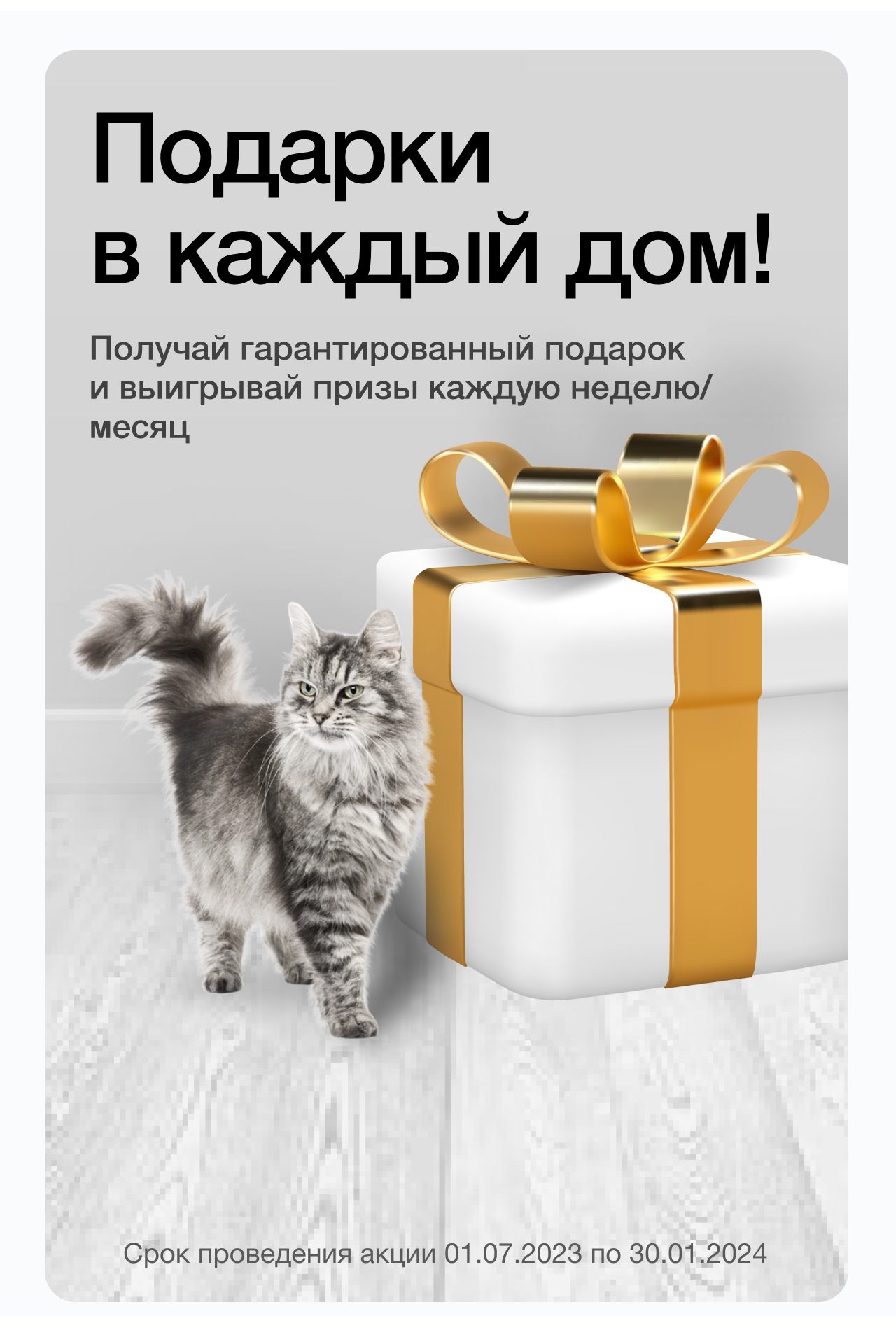 Подарки в каждый дом!